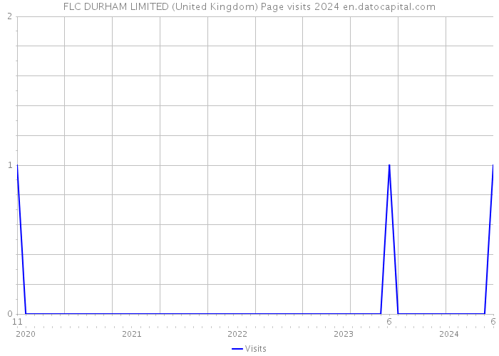 FLC DURHAM LIMITED (United Kingdom) Page visits 2024 