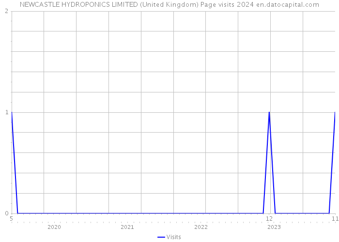 NEWCASTLE HYDROPONICS LIMITED (United Kingdom) Page visits 2024 