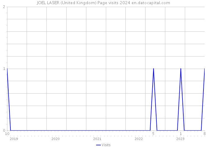 JOEL LASER (United Kingdom) Page visits 2024 