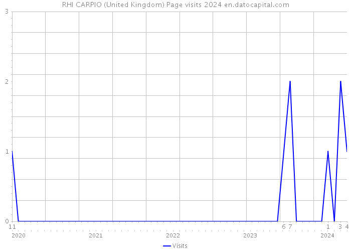 RHI CARPIO (United Kingdom) Page visits 2024 