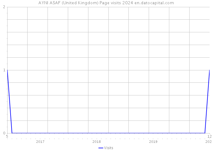 AYNI ASAF (United Kingdom) Page visits 2024 