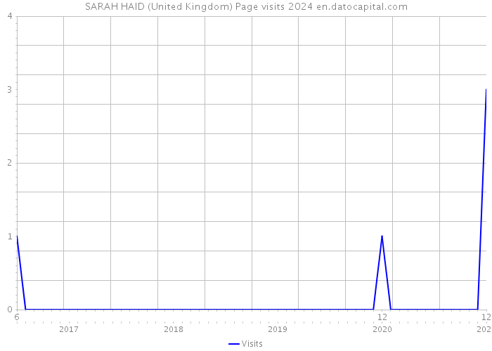 SARAH HAID (United Kingdom) Page visits 2024 