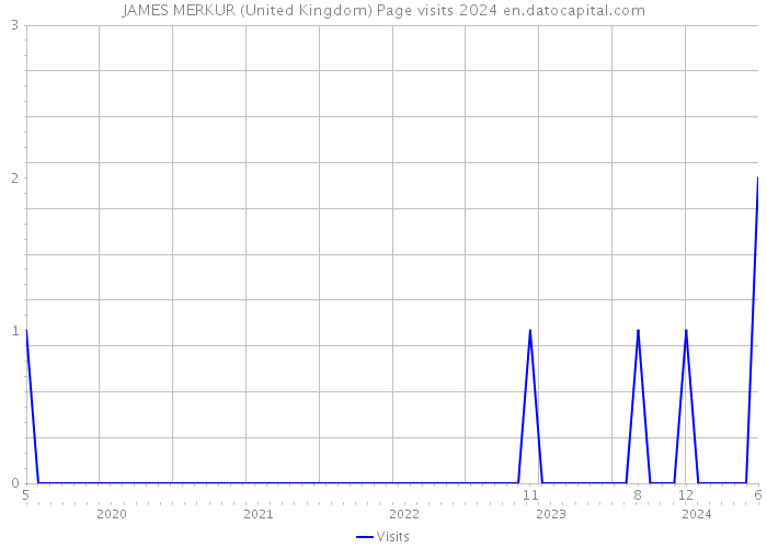 JAMES MERKUR (United Kingdom) Page visits 2024 