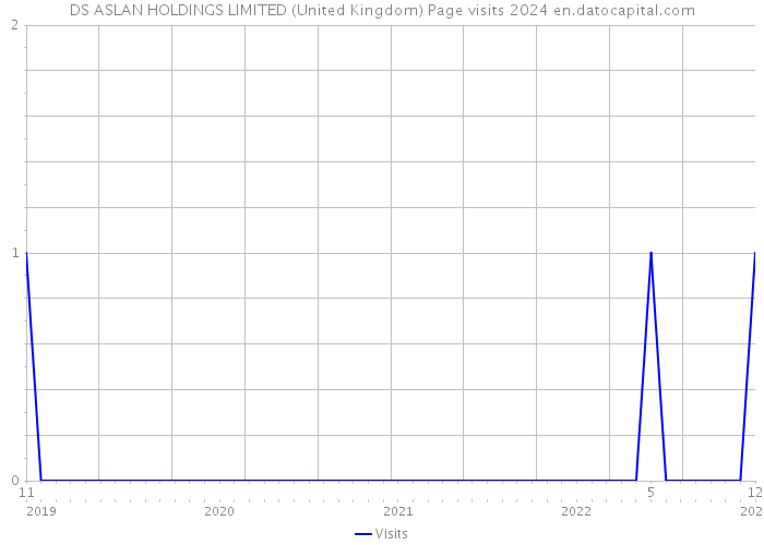 DS ASLAN HOLDINGS LIMITED (United Kingdom) Page visits 2024 