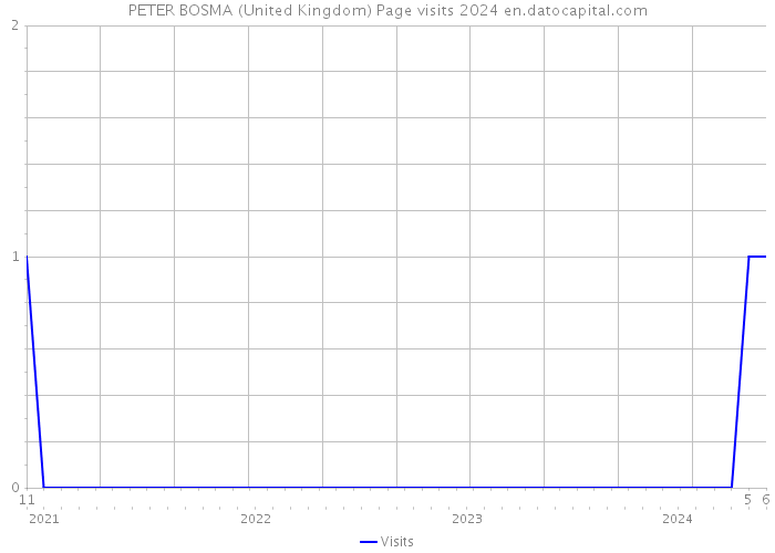 PETER BOSMA (United Kingdom) Page visits 2024 