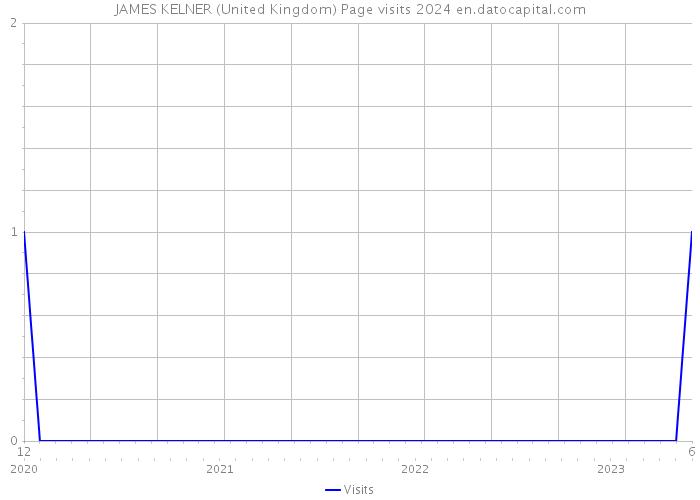JAMES KELNER (United Kingdom) Page visits 2024 