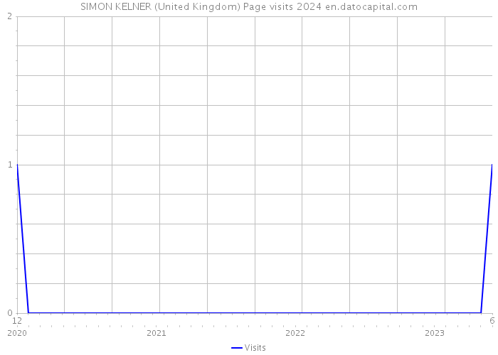 SIMON KELNER (United Kingdom) Page visits 2024 