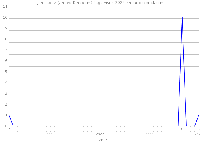Jan Labuz (United Kingdom) Page visits 2024 