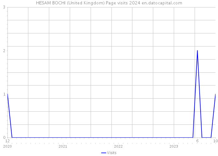 HESAM BOCHI (United Kingdom) Page visits 2024 