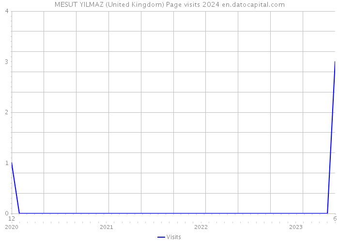 MESUT YILMAZ (United Kingdom) Page visits 2024 