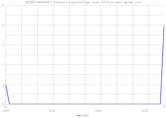 SEZER HAMAMCI (United Kingdom) Page visits 2024 