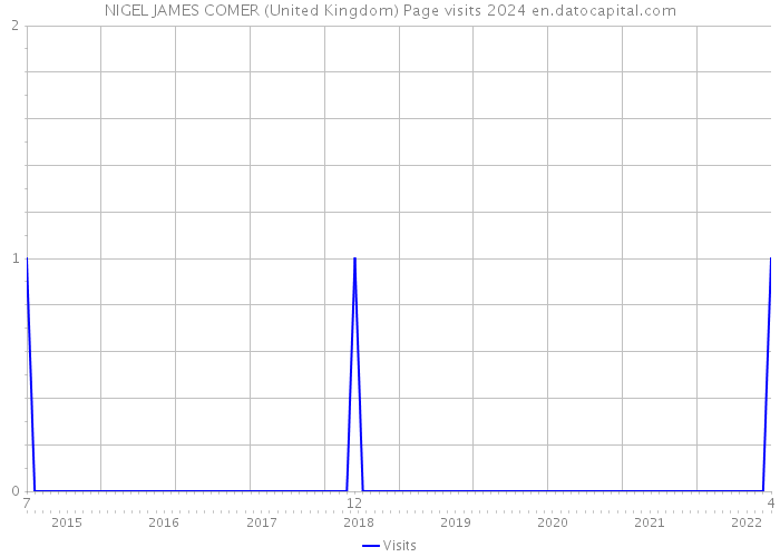 NIGEL JAMES COMER (United Kingdom) Page visits 2024 