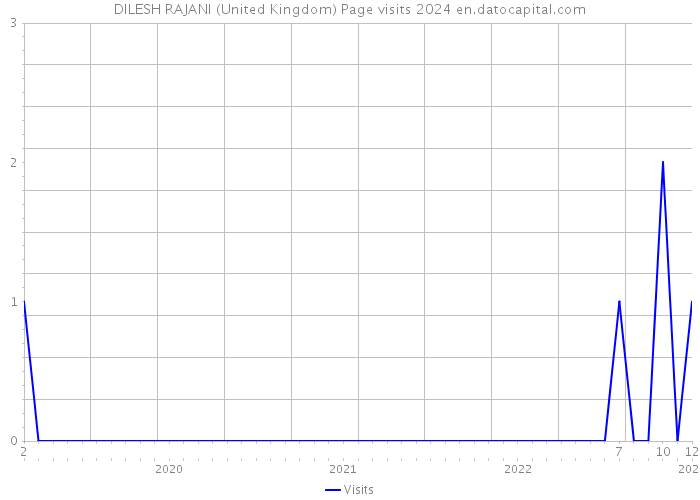 DILESH RAJANI (United Kingdom) Page visits 2024 