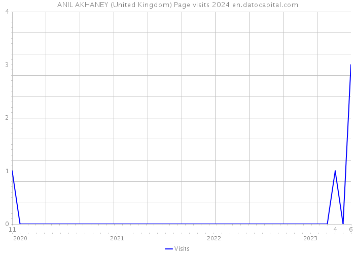 ANIL AKHANEY (United Kingdom) Page visits 2024 