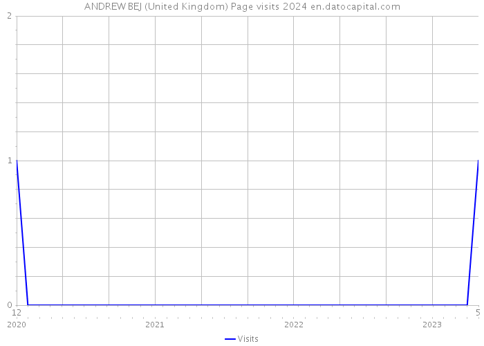 ANDREW BEJ (United Kingdom) Page visits 2024 