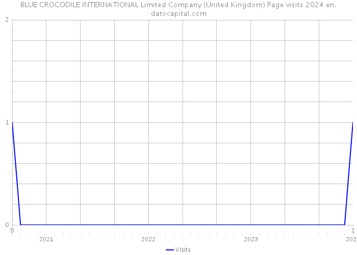 BLUE CROCODILE INTERNATIONAL Limited Company (United Kingdom) Page visits 2024 