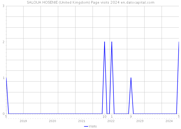 SALOUA HOSENIE (United Kingdom) Page visits 2024 