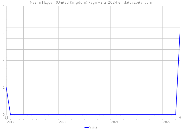 Nazim Hayyan (United Kingdom) Page visits 2024 