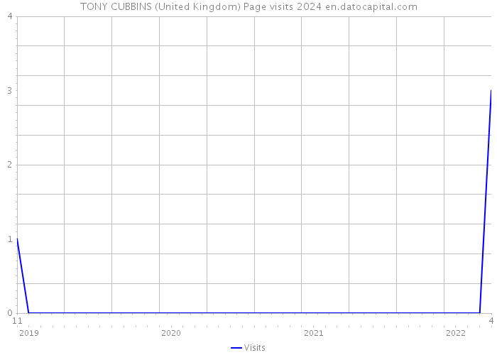 TONY CUBBINS (United Kingdom) Page visits 2024 