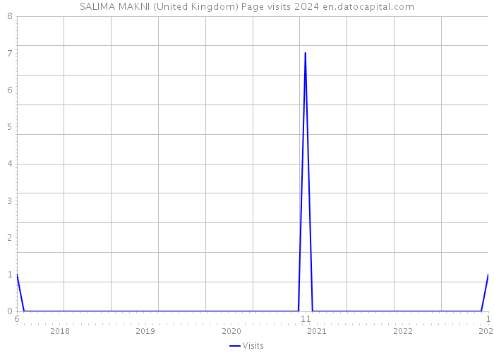 SALIMA MAKNI (United Kingdom) Page visits 2024 