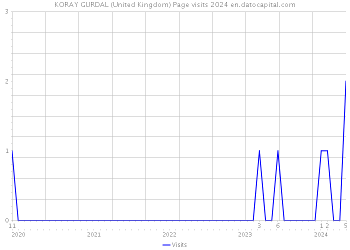 KORAY GURDAL (United Kingdom) Page visits 2024 