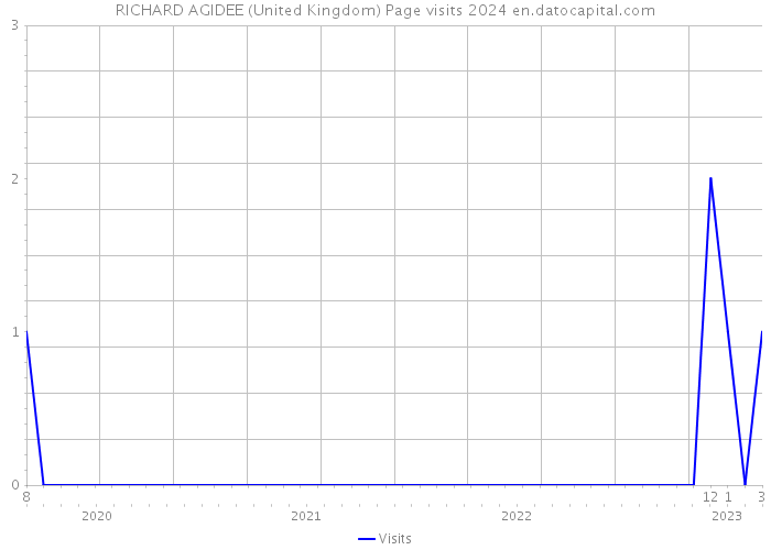RICHARD AGIDEE (United Kingdom) Page visits 2024 