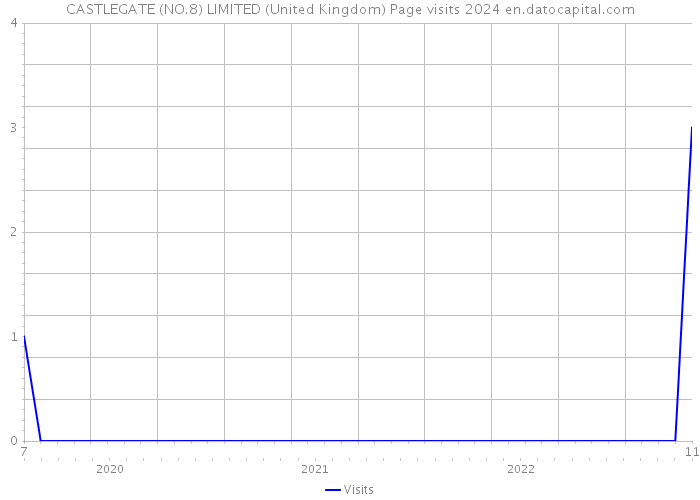 CASTLEGATE (NO.8) LIMITED (United Kingdom) Page visits 2024 