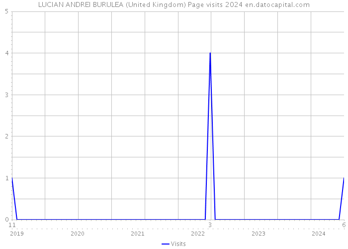 LUCIAN ANDREI BURULEA (United Kingdom) Page visits 2024 
