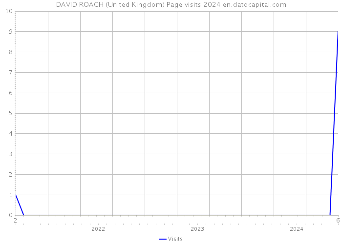 DAVID ROACH (United Kingdom) Page visits 2024 