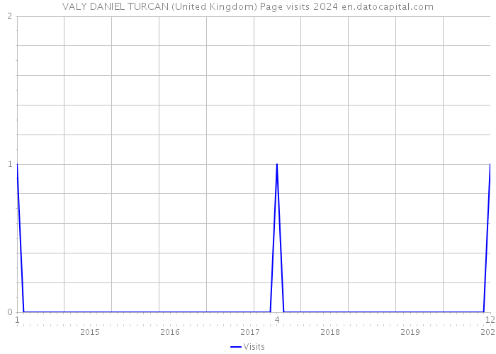 VALY DANIEL TURCAN (United Kingdom) Page visits 2024 