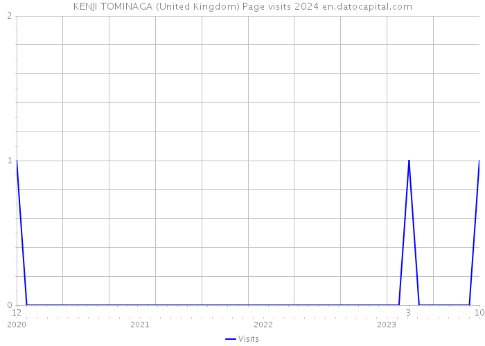 KENJI TOMINAGA (United Kingdom) Page visits 2024 