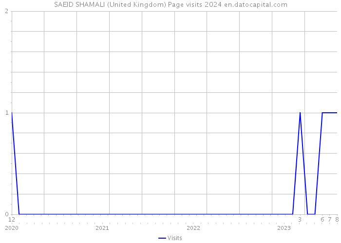 SAEID SHAMALI (United Kingdom) Page visits 2024 
