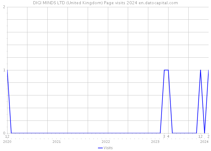 DIGI MINDS LTD (United Kingdom) Page visits 2024 