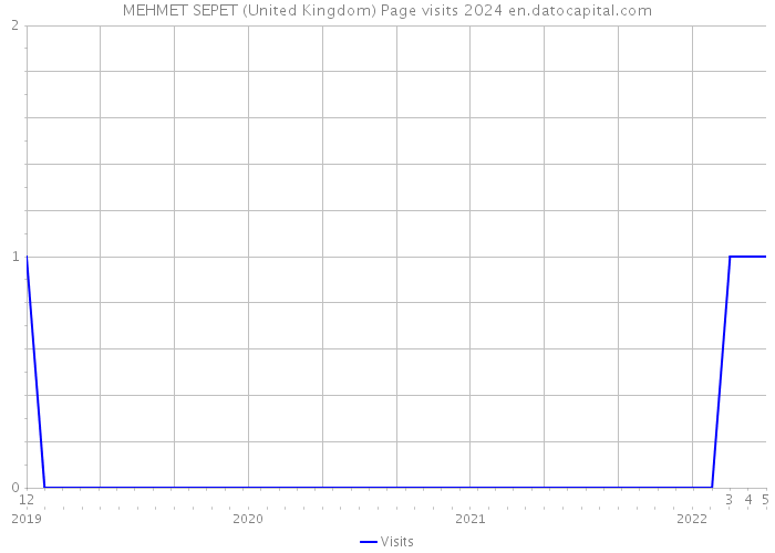 MEHMET SEPET (United Kingdom) Page visits 2024 