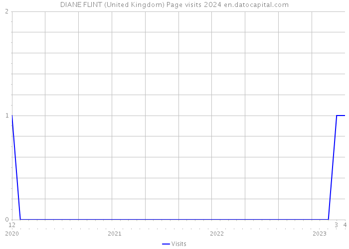 DIANE FLINT (United Kingdom) Page visits 2024 