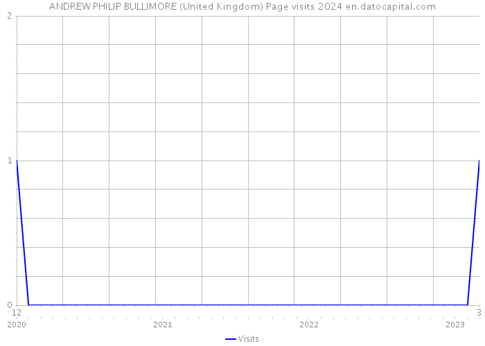 ANDREW PHILIP BULLIMORE (United Kingdom) Page visits 2024 