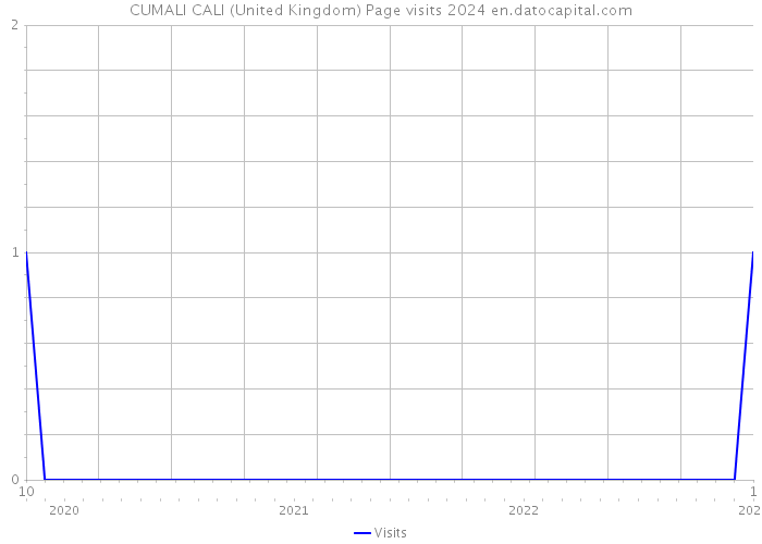 CUMALI CALI (United Kingdom) Page visits 2024 