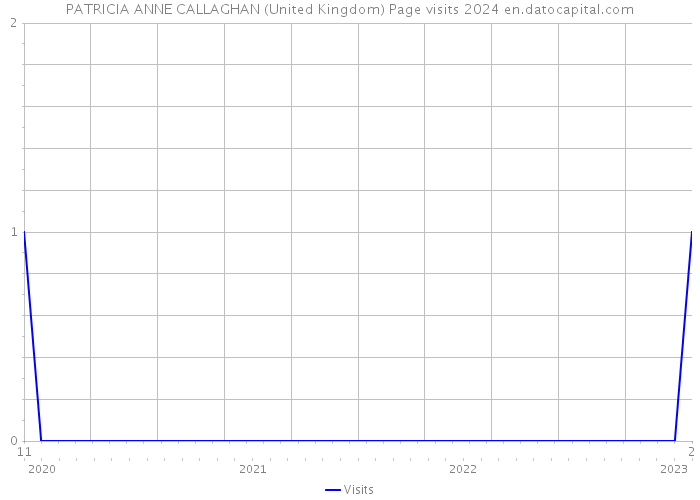 PATRICIA ANNE CALLAGHAN (United Kingdom) Page visits 2024 