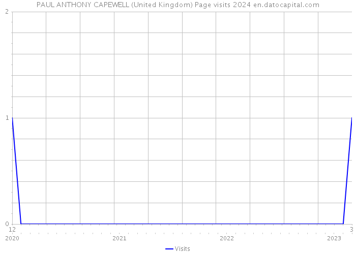 PAUL ANTHONY CAPEWELL (United Kingdom) Page visits 2024 