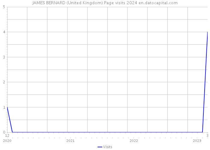 JAMES BERNARD (United Kingdom) Page visits 2024 