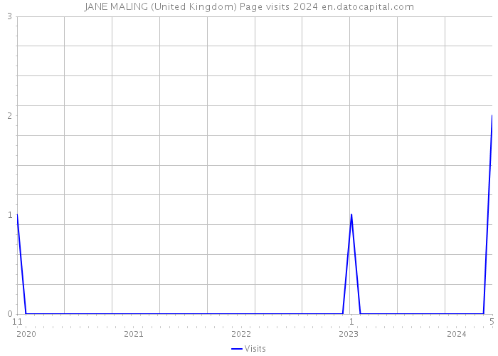 JANE MALING (United Kingdom) Page visits 2024 
