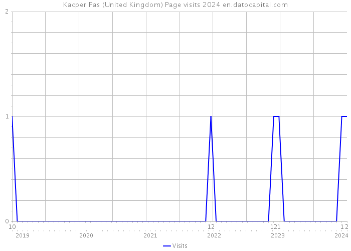 Kacper Pas (United Kingdom) Page visits 2024 