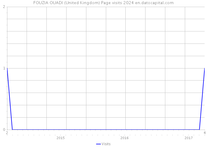 FOUZIA OUADI (United Kingdom) Page visits 2024 