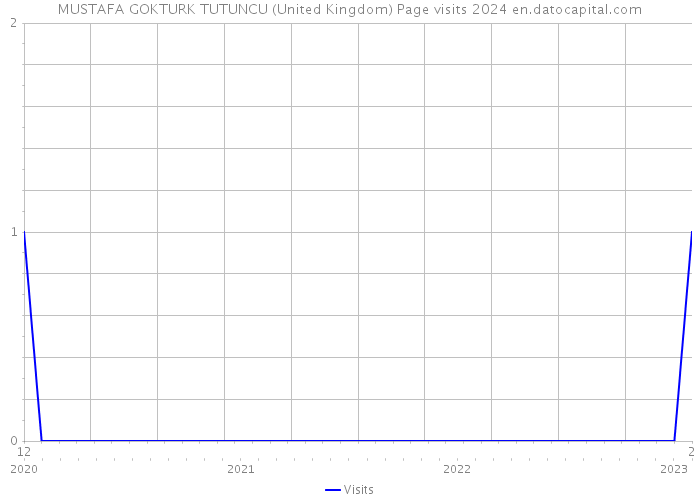 MUSTAFA GOKTURK TUTUNCU (United Kingdom) Page visits 2024 