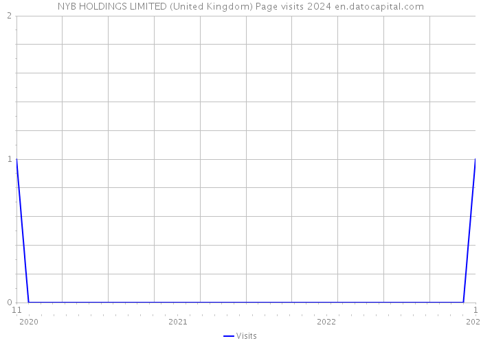 NYB HOLDINGS LIMITED (United Kingdom) Page visits 2024 