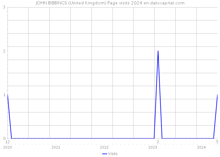 JOHN BIBBINGS (United Kingdom) Page visits 2024 