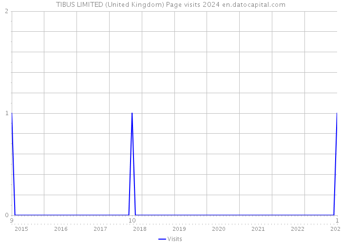 TIBUS LIMITED (United Kingdom) Page visits 2024 
