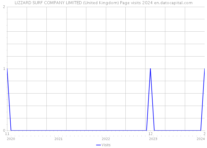 LIZZARD SURF COMPANY LIMITED (United Kingdom) Page visits 2024 