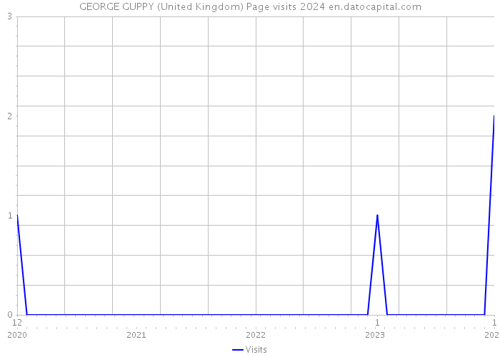 GEORGE GUPPY (United Kingdom) Page visits 2024 