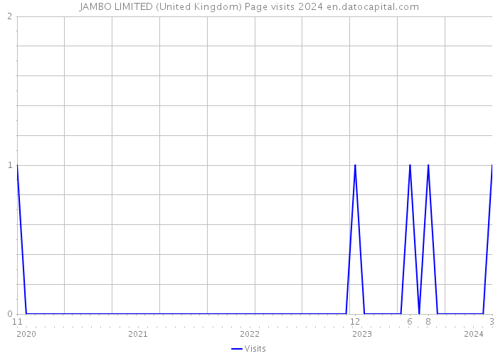 JAMBO LIMITED (United Kingdom) Page visits 2024 